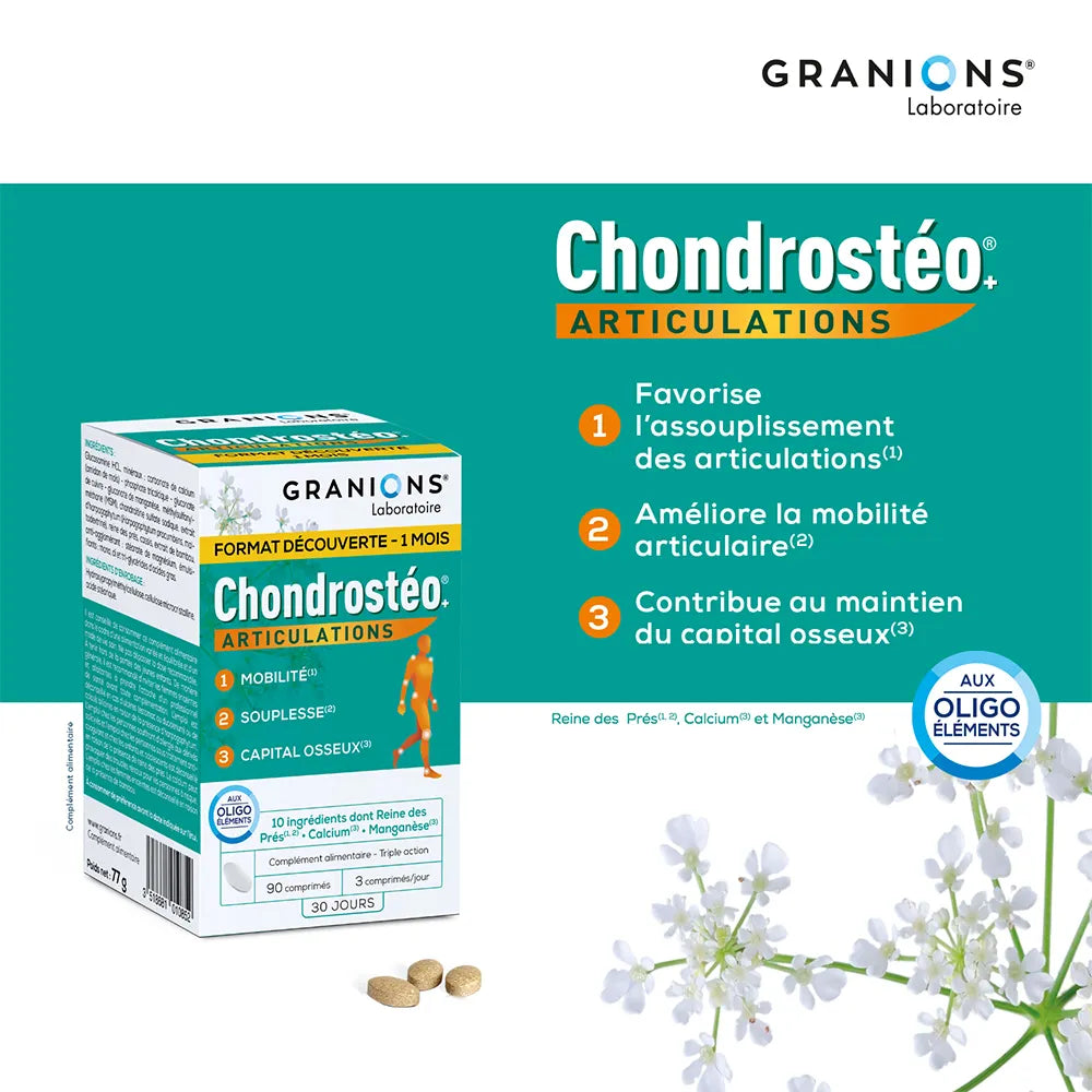Granions Chondrostéo Articulations 3x90 Comprimes