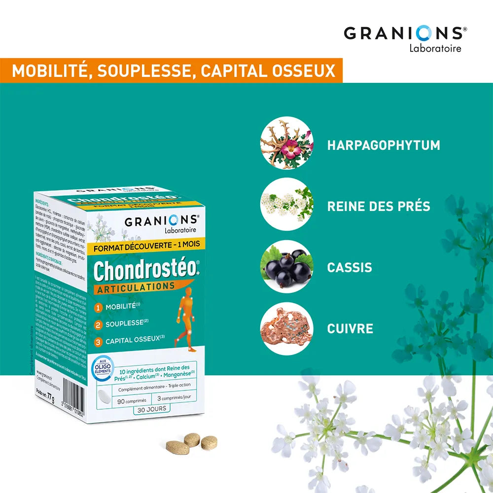Granions Chondrostéo Articulations 3x90 Comprimes