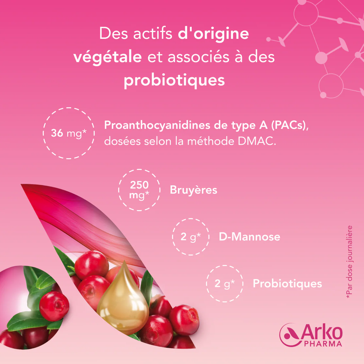 ARKOPHARMA Cys-Control® Fort Probiotiques  10 Sachets + 5 Sticks
