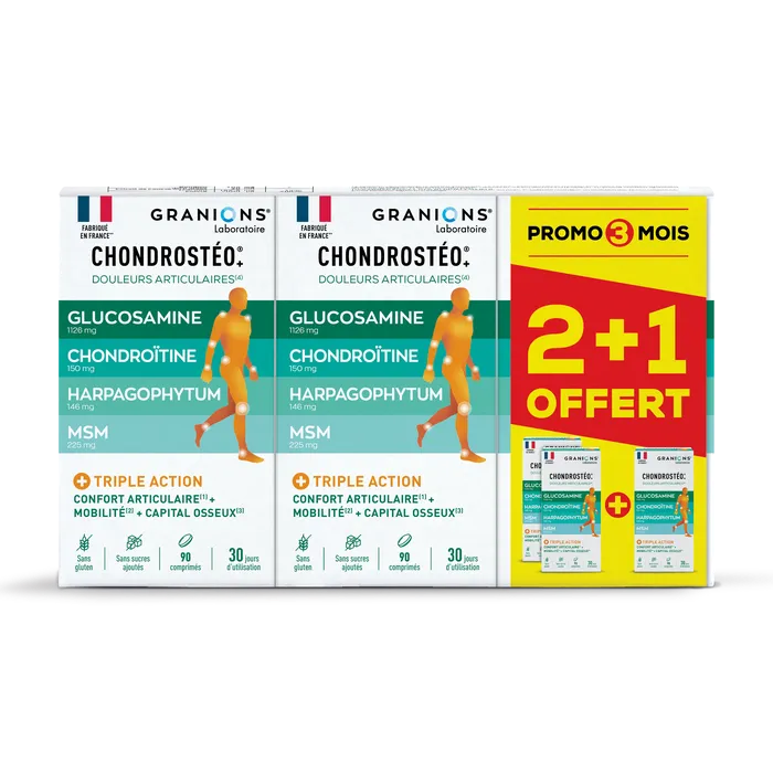 Granions Chondrostéo Articulations 3x90 Comprimes
