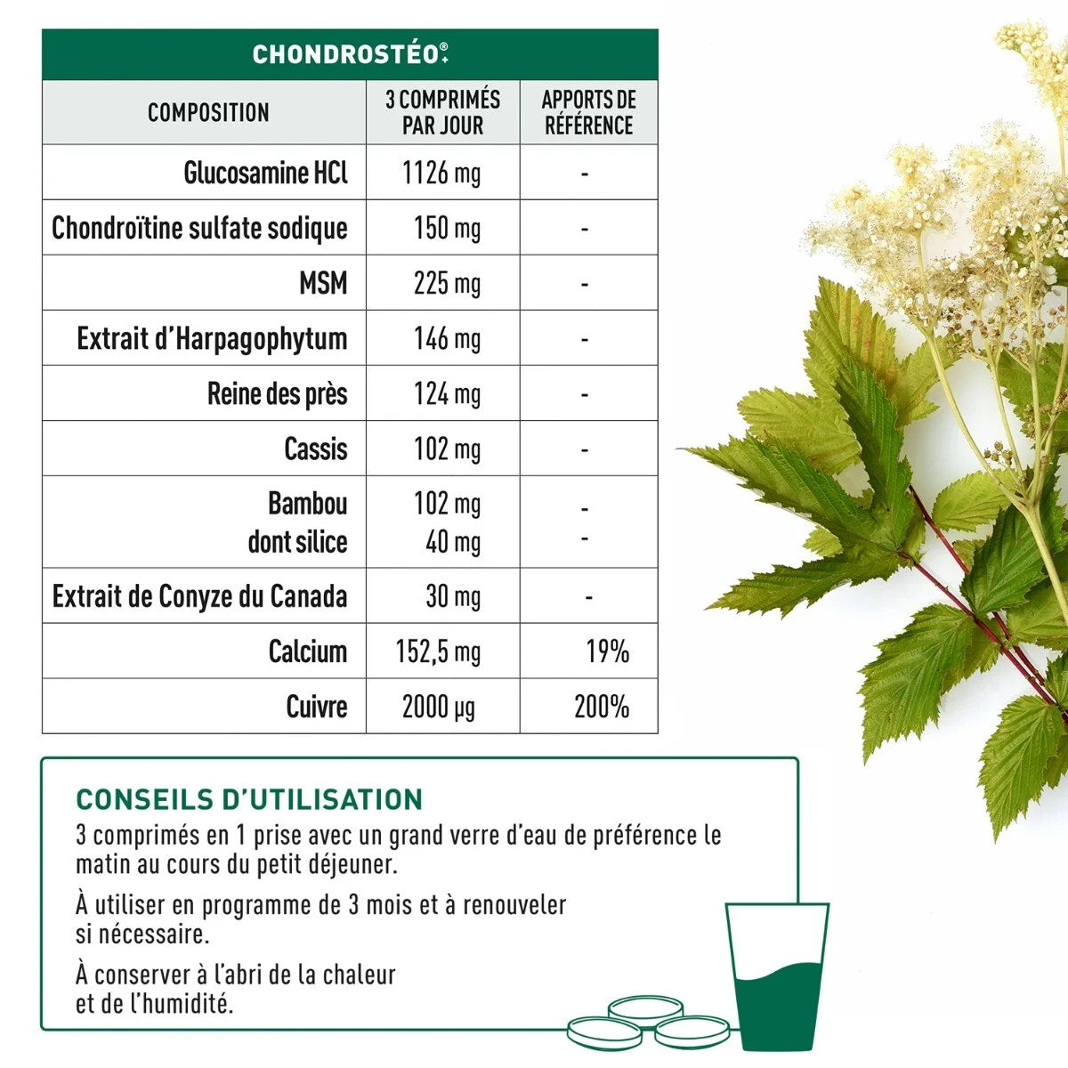 CHONDROSTÉO+ - Articulations, 180 Comprimés