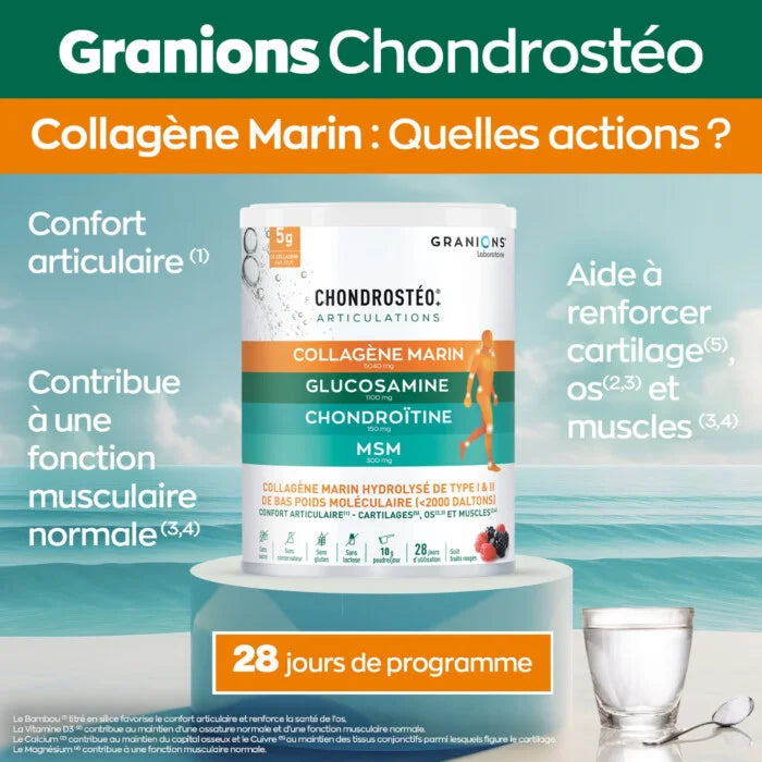 Chondrostéo+ Collagène Marin - Poudre - Fruits des bois Pour un confort articulaire